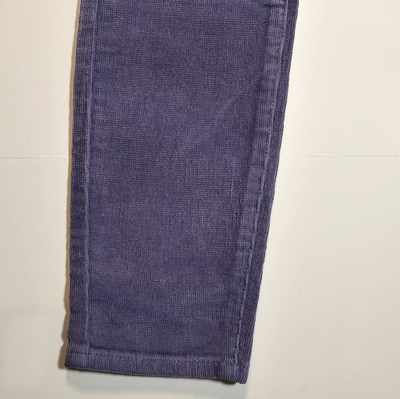 Stitch Fix Cosmic Blue Love Corduroy Periwinkle Plum Size 27 NWT - Picture 9 of 12